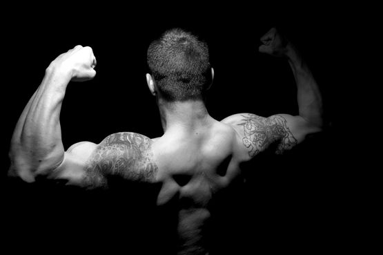 Steroids: An In-Depth Overview